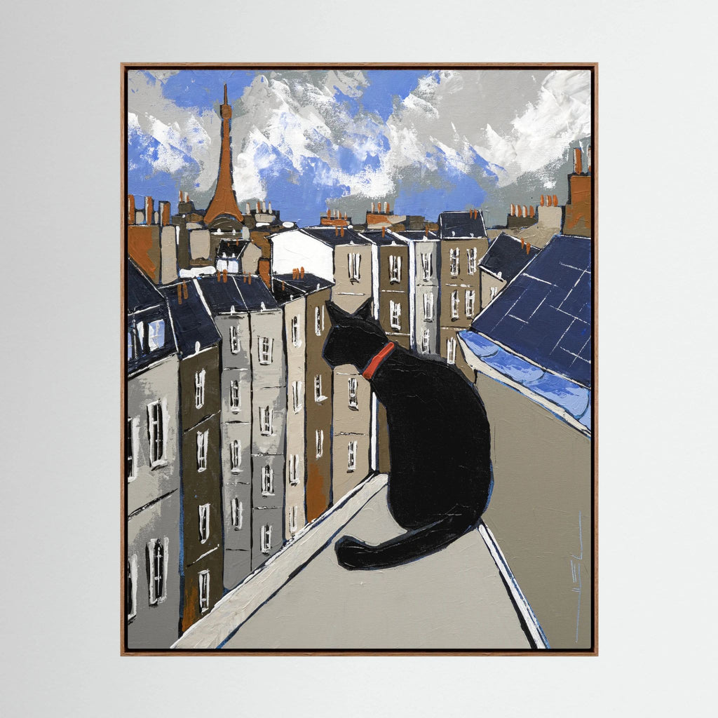 Black Cat on Paris Rooftops